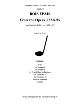 Bois Epais Concert Band sheet music cover